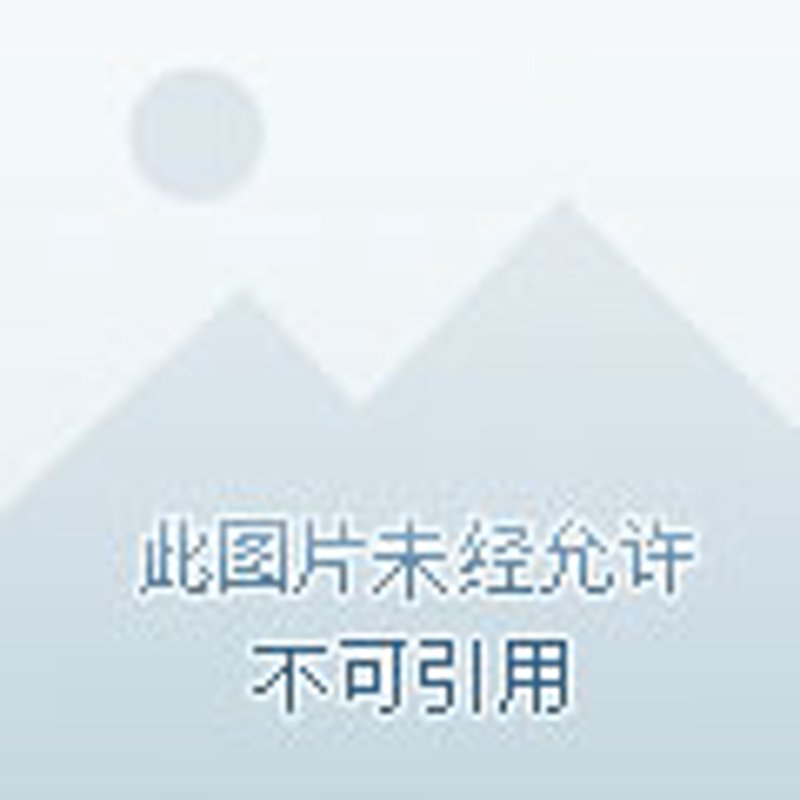 光伏支架：提升太阳能发电效率的秘密武器